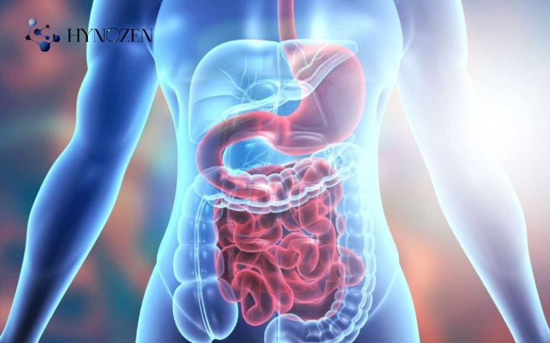 Nước ion kiềm giúp cân bằng hệ tiêu hóa